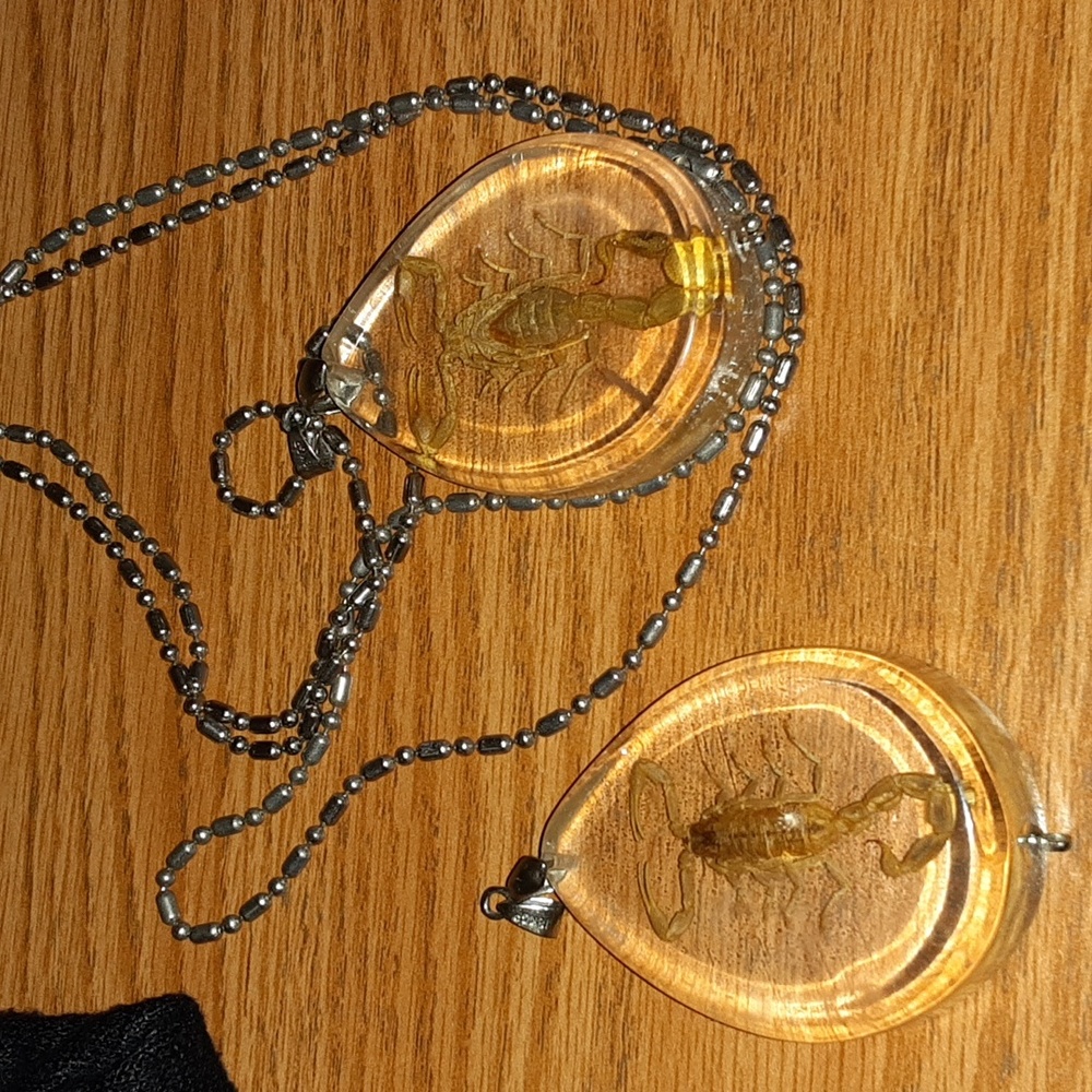 Resin scorpion pendants and SS chain